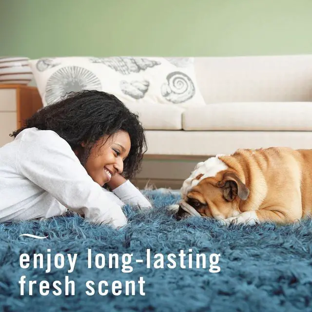 Alt view image 2 of 6 - Febreze Fabric Spray Air Freshener, Odor-Fighting, Pet Odor Fighter Scent, 23.6fl oz, Multi-Use, Linen Spray, Couch Cleaner, Sneaker Balls Alternative