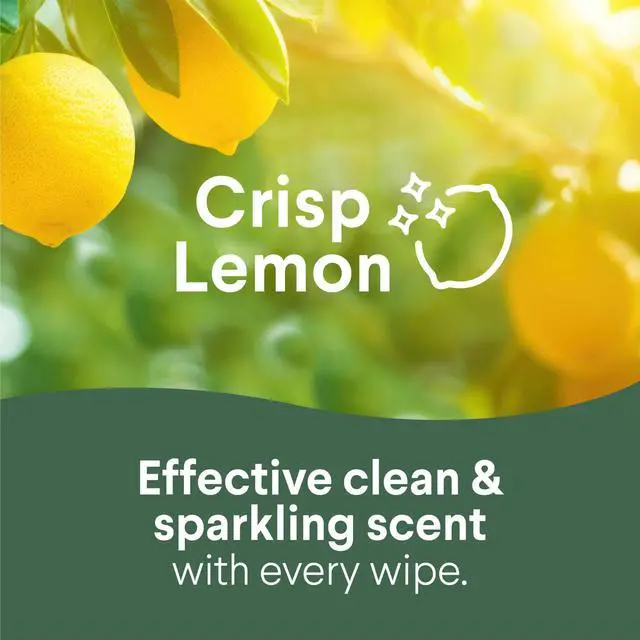 Alt view image 5 of 6 - Clorox Disinfecting Cleaning Wipes Flex Pack, Bleach Free, Crisp Lemon, 75 Count (Pack May Vary)