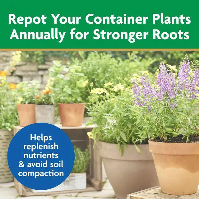 Alt view image 5 of 6 - Miracle-Gro Moisture Control Potting Mix for Container Plants, 25 qt.