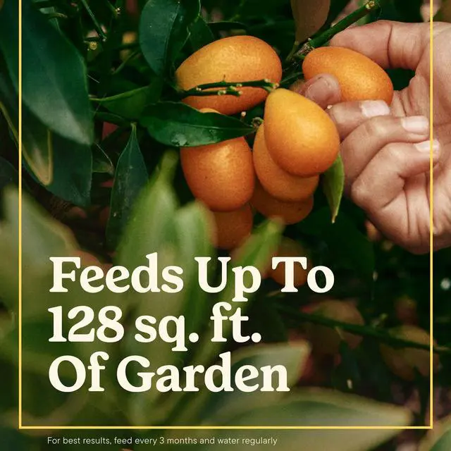 Alt view image 5 of 5 - Miracle-Gro Shake 'n Feed Plant Food for Tomato, Fruit and Vegetable, 4.5 lbs.