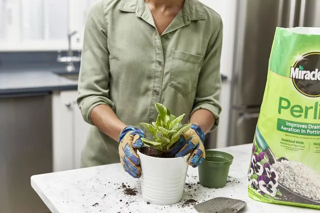 Alt view image 4 of 5 - Miracle-Gro Perlite, 8 qt., Improves Drainage and Aeration in Potting Mixes