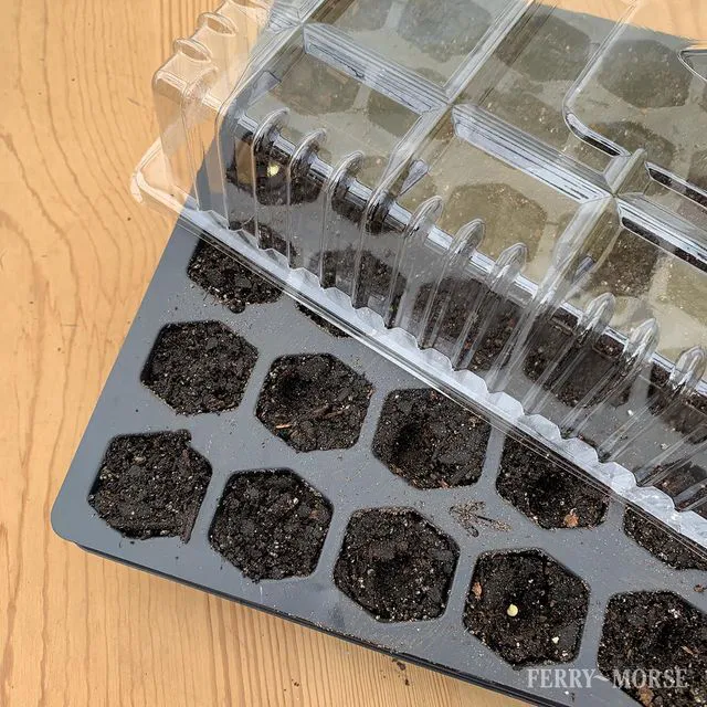 Alt view image 3 of 5 - Ferry Morse Pro-Hex 72-Cell Seed Starting Tray Reusable Plastic