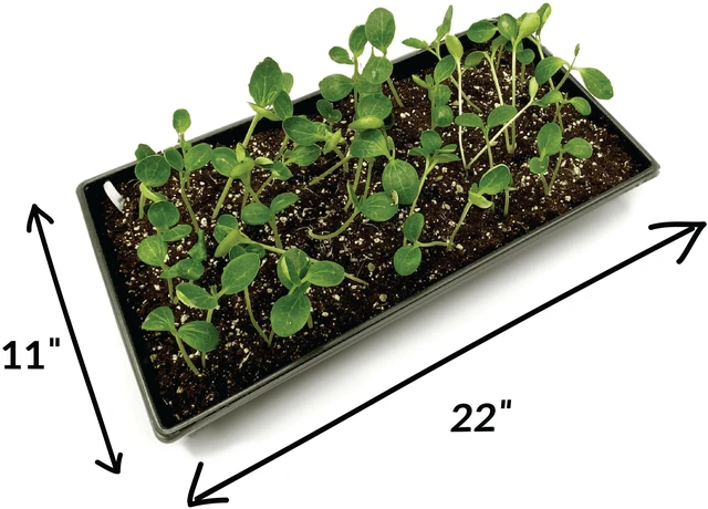 Alt view image 4 of 5 - Ferry-Morse Durable Seed Starting Tray with Watertight Base, Reusable Plastic Design (4 Pack)