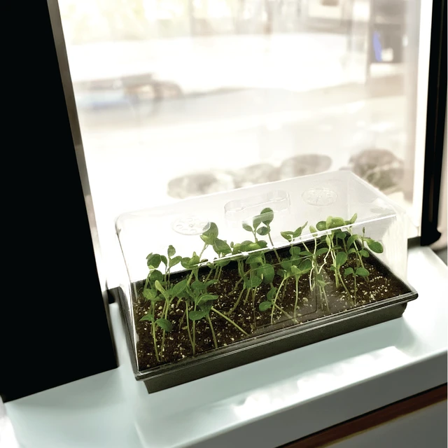 Alt view image 3 of 5 - Ferry-Morse Durable Seed Starting Tray with Watertight Base, Reusable Plastic Design (4 Pack)