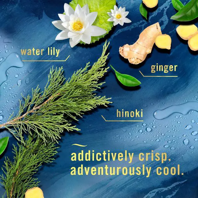 Alt view image 4 of 5 - Febreze Air Mist Luxe Air Freshener Spray, Ocean Scent, 8.1oz, 2 Count