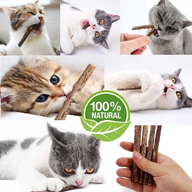 Alt view image 3 of 4 - 10 PCS Organic Catnip Sticks Matatabi Silvervine Natural Plant Cat Chew Toys Teeth Cleaning for Kitten