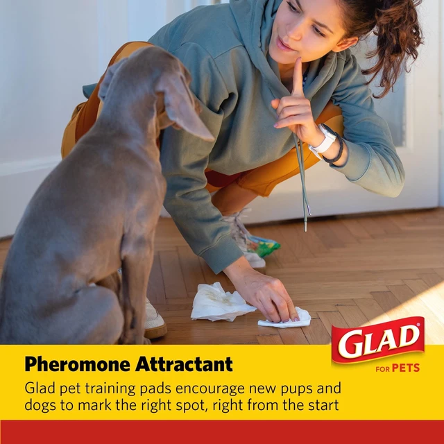 Alt view image 5 of 5 - Glad Activated Charcoal Leak-Resistant Training Pads for Dogs, 23in x 23in, 14 Count