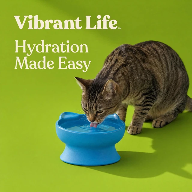 Alt view image 3 of 6 - Vibrant Life 0.8-Cup Plastic Elevated Cat Ear Bowl, Blue