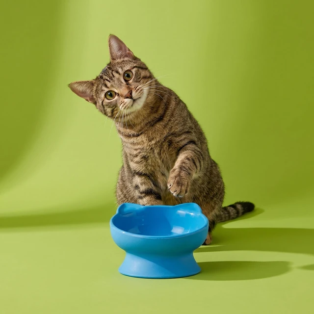 Alt view image 2 of 6 - Vibrant Life 0.8-Cup Plastic Elevated Cat Ear Bowl, Blue