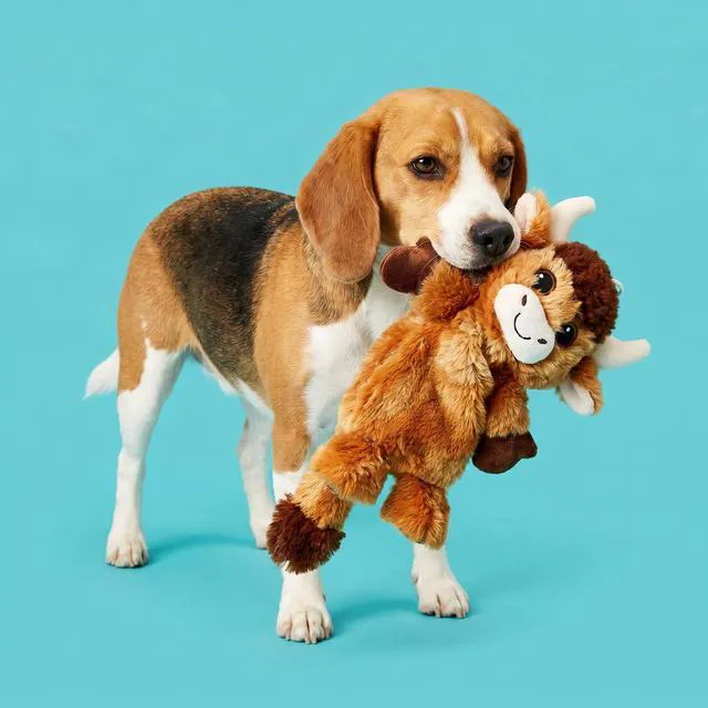 Alt view image 6 of 6 - Vibrant Life Brown Longhorn Plush Dog Toy with Crinkle and Squeaker, Chew Level 2