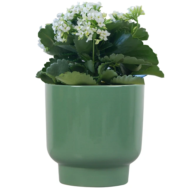 Alt view image 2 of 6 - Mainstays Petra 6 in Round Green Ceramic Planter