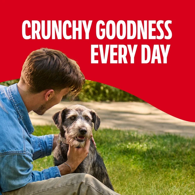 Alt view image 6 of 6 - Milk Bone Crunchy Medium Dog Treats, 10 Lb. Box, Original Beef Flavor