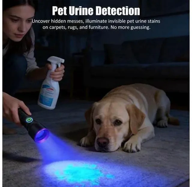Alt view image 4 of 7 - 365nm UV Flashlight Black Light Rechargeable, Powerful Blacklight Flashlights, Portable UV Light for Pet Urine Detection, Resin Curing, Rocks, Bed Bugs, Scorpion, Yooperlite, Uranium Glass, AC Leak