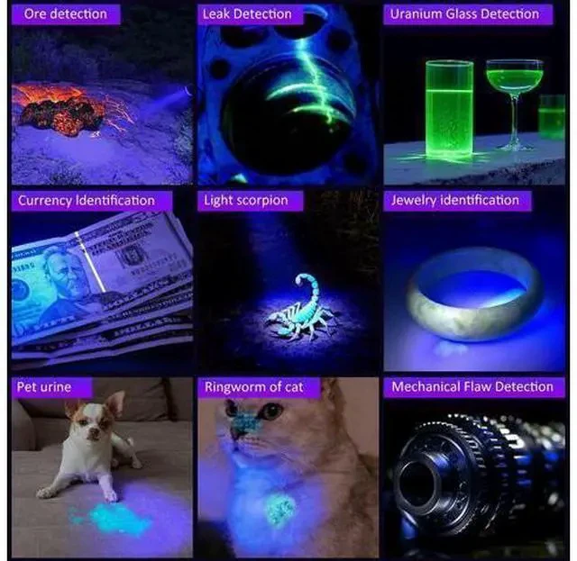 Alt view image 7 of 7 - 365nm UV Flashlight Black Light Rechargeable, Powerful Blacklight Flashlights, Portable UV Light for Pet Urine Detection, Resin Curing, Rocks, Bed Bugs, Scorpion, Yooperlite, Uranium Glass, AC Leak