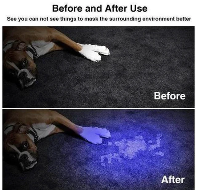 Alt view image 4 of 7 - Flashlight 365/395 nm LED Ultraviolet Torch With Zoom Function Mini Black Light Detector Outdoor Rechargeable