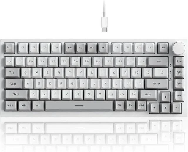 Main image of AK820 Wired 75% Mechanical Keyboard, HP-Style Tactile, Hot-Swappable | 81key PBT keycaps, White Backlit 20 modes, Metal Volume Knob, USB-C, Gasket Mount, 5-layer Foam, Dual Drivers Options, PC/Mac
