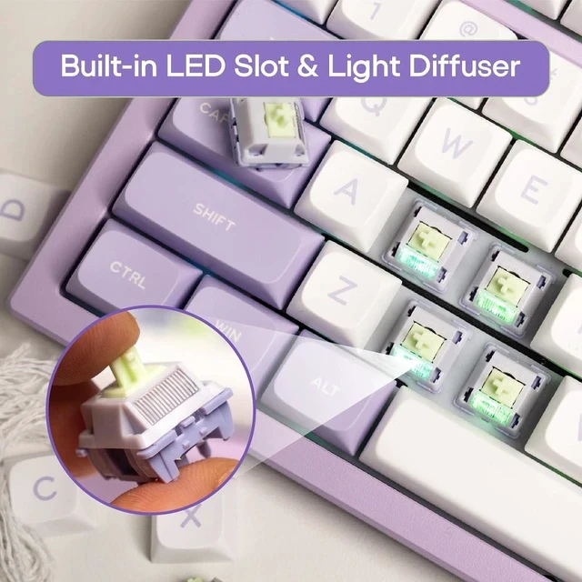 Alt view image 7 of 7 - x Aula F75 Gasket Mechanical Keyboard+35 Pieces Wisteria V2 Linear 38gf Keyboard Switches Set