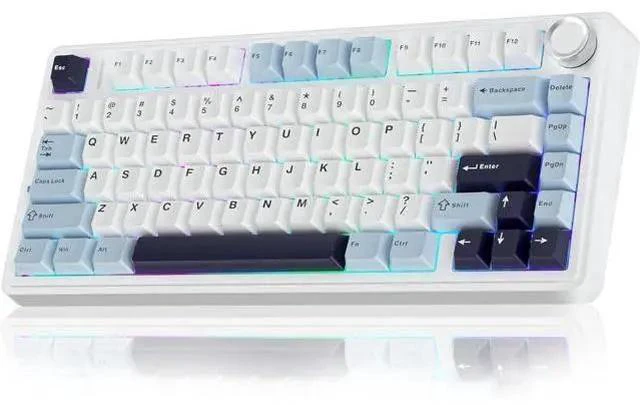 Main image of AULA F75 75% Wireless Mechanical Keyboard,Gasket Hot Swappable Custom Keyboard,Pre-lubed Reaper Switches RGB Backlit Gaming Keyboard,2.4GHz/Type-C/BT5.0 Mechanical Keyboard (White & Blue)