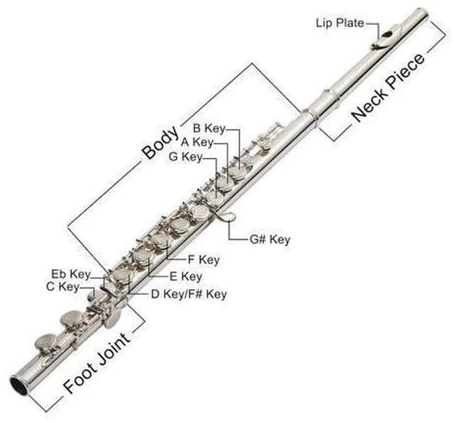 Alt view image 2 of 6 - C Closed Hole Flute 16 Keys Flutes Kit for Students, Professionals & Beginner, Orchestra Musical Nickel Flute with Hard Case, Cleaning Rod, Cloth, Gloves (Silver)