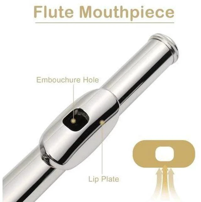 Alt view image 4 of 6 - C Closed Hole Flute 16 Keys Flutes Kit for Students, Professionals & Beginner, Orchestra Musical Nickel Flute with Hard Case, Cleaning Rod, Cloth, Gloves (Silver)