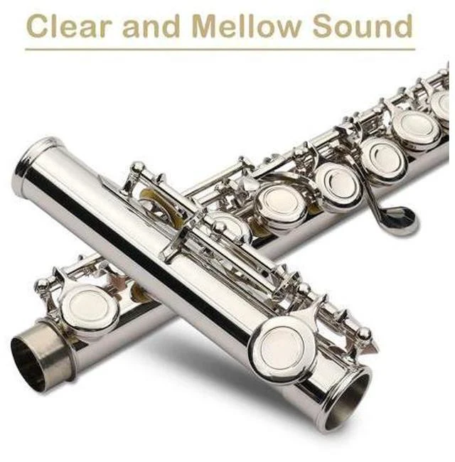 Alt view image 5 of 6 - C Closed Hole Flute 16 Keys Flutes Kit for Students, Professionals & Beginner, Orchestra Musical Nickel Flute with Hard Case, Cleaning Rod, Cloth, Gloves (Silver)