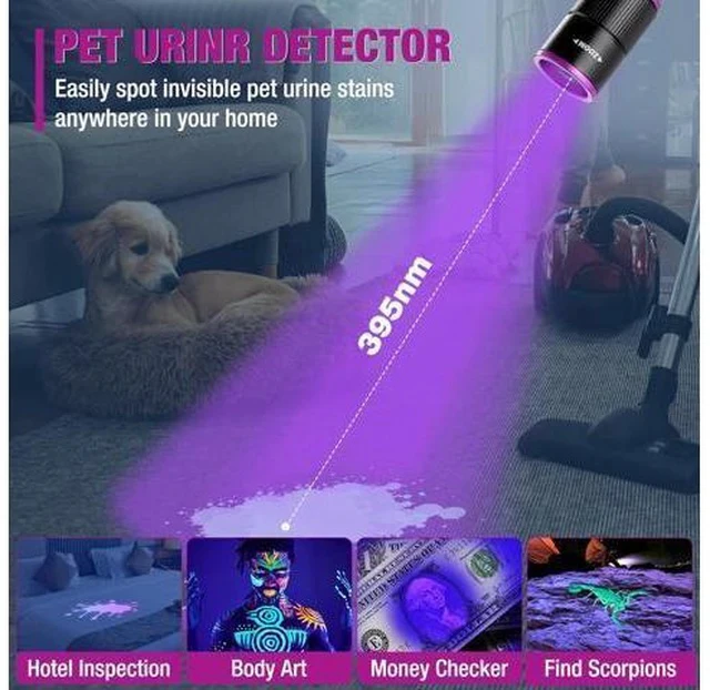 Alt view image 6 of 7 - EverBrite Rechargeable Pen Flashlight with UV Light and White Light, 395nm Black Flashlight with Clip, Zoomable 4 Modes with Memory Function, USB C Cable, for Camping, Emergency, Pet Urine Detection