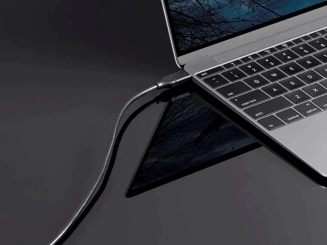 Alt view image 3 of 4 - Essentials USB-C to USB-C 2.0 Cable - 480Mbps 5A 26AWG 4m (13.1 ft) Black