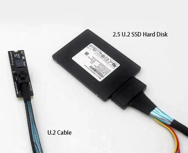 Alt view image 3 of 5 - PH49-M2 M.2 M-Key PCIe 4.0 Adapter Card, 2280 NGFF M.2 to SFF-8643 / SFF-8639 U.2 NVMe Storage Converter, Compatible PCIe X4/X8/X16 Gen3.0/Gen4.0 Server Extension Dongle