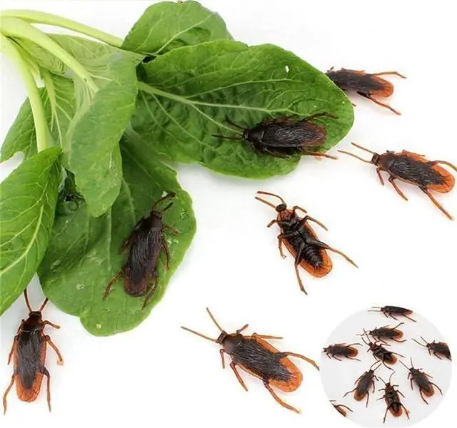Alt view image 6 of 7 - Prank Fake Roaches, Favorite Trick Joke Toys Look Real, Scary Insects Realistic Plastic Bugs, Novelty Cockroach for Party, Christmas, Halloween (5)
