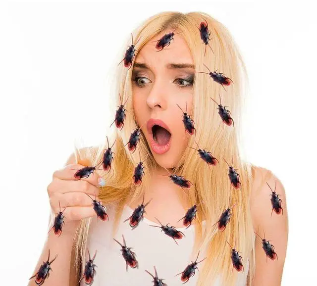 Alt view image 4 of 7 - Prank Fake Roaches, Favorite Trick Joke Toys Look Real, Scary Insects Realistic Plastic Bugs, Novelty Cockroach for Party, Christmas, Halloween (5)
