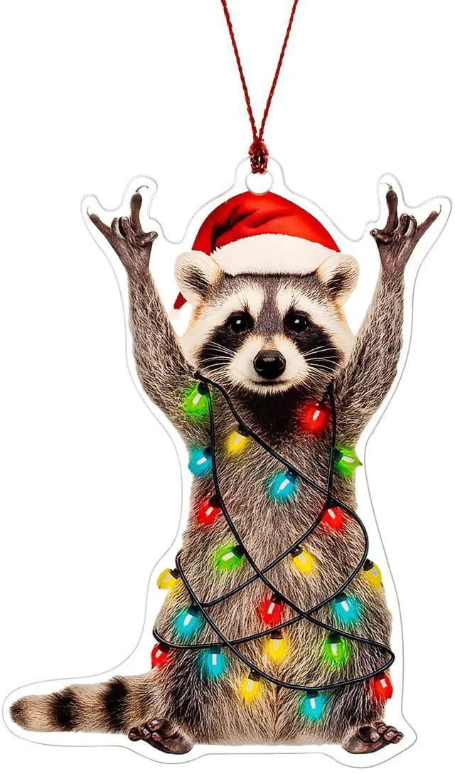 Main image of Funny Christmas Ornaments, Racoon Christmas Ornament, Christmas Ornaments 2026, Raccoon Gifts for Women Animal Lovers, Animal Gifts for Friends, Coworker, Raccoon Ornament Christmas Decorations