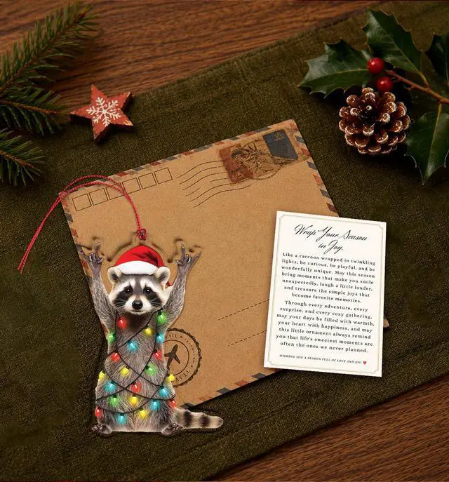 Alt view image 4 of 7 - Funny Christmas Ornaments, Racoon Christmas Ornament, Christmas Ornaments 2026, Raccoon Gifts for Women Animal Lovers, Animal Gifts for Friends, Coworker, Raccoon Ornament Christmas Decorations
