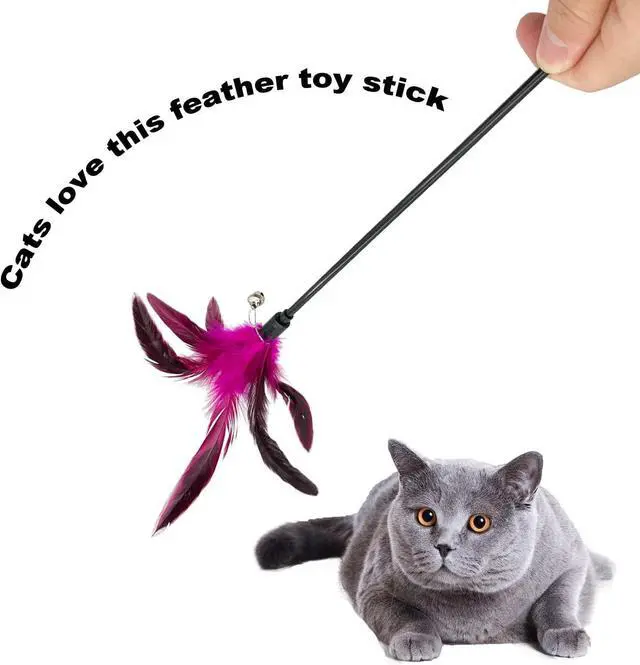 Alt view image 5 of 6 - Cat Wand Toy Feather Stick Cat Toys, 7 Pieces Interactive Cat Toy Feathers Wand for Indoor Cats