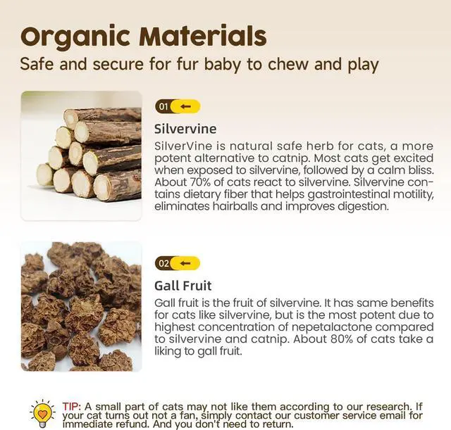 Alt view image 5 of 6 - Potaroma 3 Pack Natural Silvervine Sticks Cat Toys, Catmint Silvervine Blend Sticks, Catnip Kittens Chew Toys Teeth Cleaning, Matatabi Dental Care Cat Treat Edible Kitty Lick Toys, Package May Vary