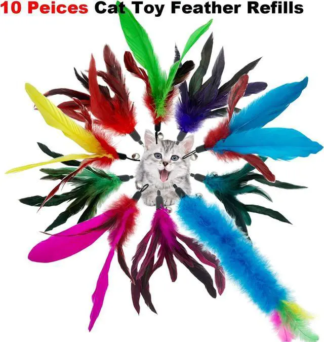 Alt view image 3 of 6 - CATENESS Cat Feather Toys Refills, 10 Pieces Cat Wand Replacement Feathers Toy for Indoor Cats