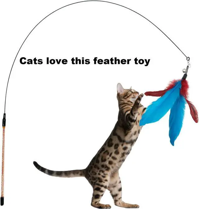 Alt view image 5 of 6 - CATENESS Cat Feather Toys Refills, 10 Pieces Cat Wand Replacement Feathers Toy for Indoor Cats