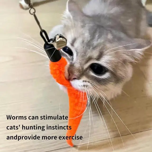 Alt view image 5 of 6 - 10Pcs Cat Fishing Pole Toy Attachments and 1PC Black String