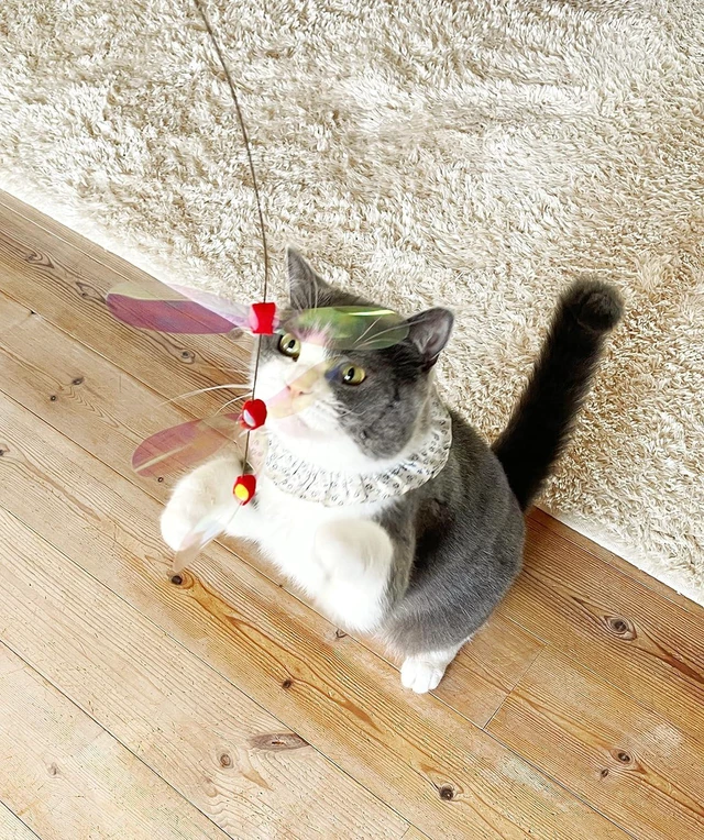 Alt view image 6 of 6 - NECOICHI Crinkly Critters Dancing Dragonfly Trio Wire Cat Wand No.1 Selling Cat Toy in Japan