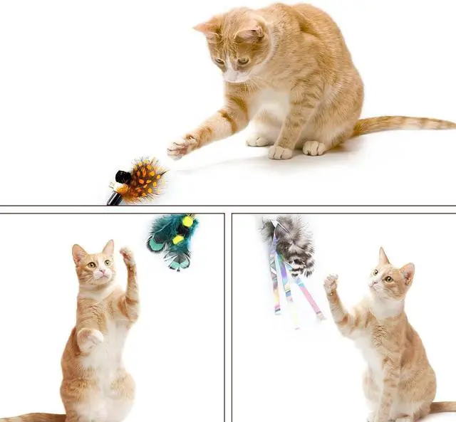 Alt view image 5 of 6 - Cat Insect Feather Toys Replacement Cat Toy Wand Refills, 6 Pieces Natural Insect Cat Toy Feathers Refill, Interactive Cat Teaser Wand Attachments, with Bell