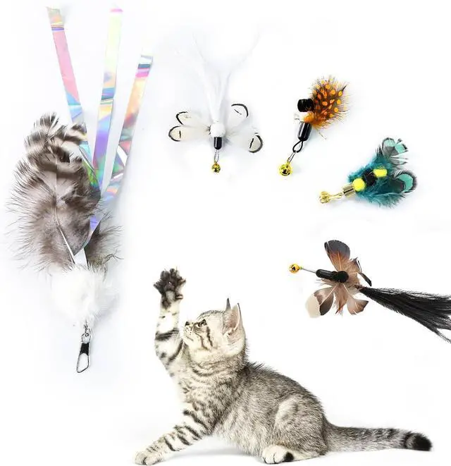 Alt view image 4 of 6 - Cat Insect Feather Toys Replacement Cat Toy Wand Refills, 6 Pieces Natural Insect Cat Toy Feathers Refill, Interactive Cat Teaser Wand Attachments, with Bell