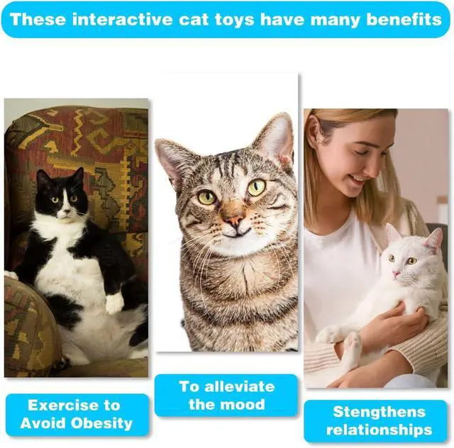 Alt view image 7 of 7 - Retractable Cat Toy Wand 12 Packs Interactive Cat Feather Toys