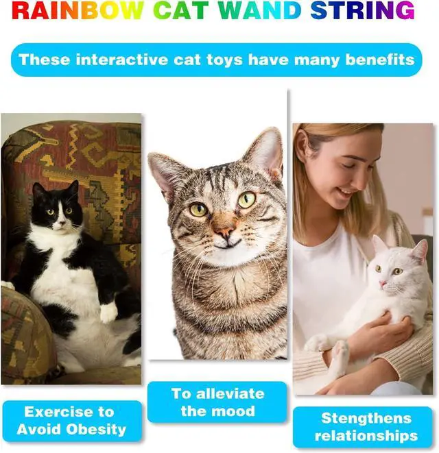 Alt view image 6 of 7 - Cat Wand Toys Interactive Kitten Toys for Indoor Cats-2Pcs