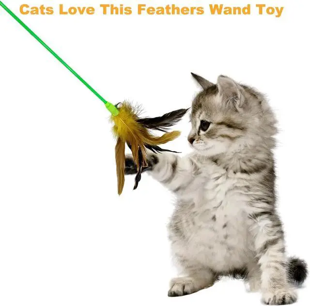 Alt view image 5 of 6 - Interactive Cat Wand Feather Toys, 10 Pieces Feathers Stick Cat Toys for Indoor Cats Play