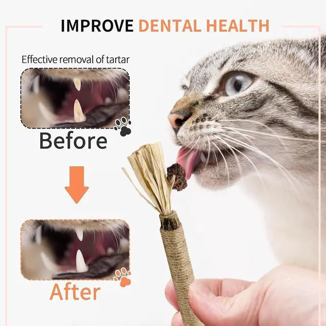 Alt view image 3 of 7 - Natural Silvervine Sticks 3Pcs, Cat Chew Toys for Kitten Teething