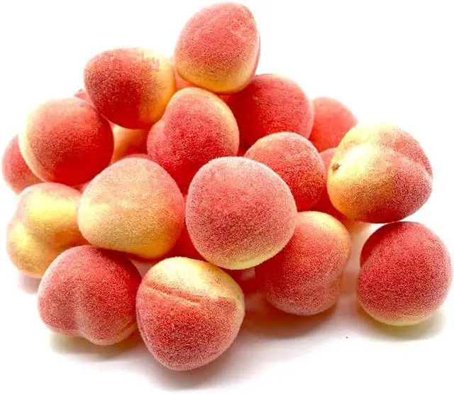 Main image of Aliotech 30Pcs Artificial Peach Fake Peach Mini Fruit Small Peach Simulation Lifelike for Home Cabinet Table Party Kitchen Decoration Photography Prop
