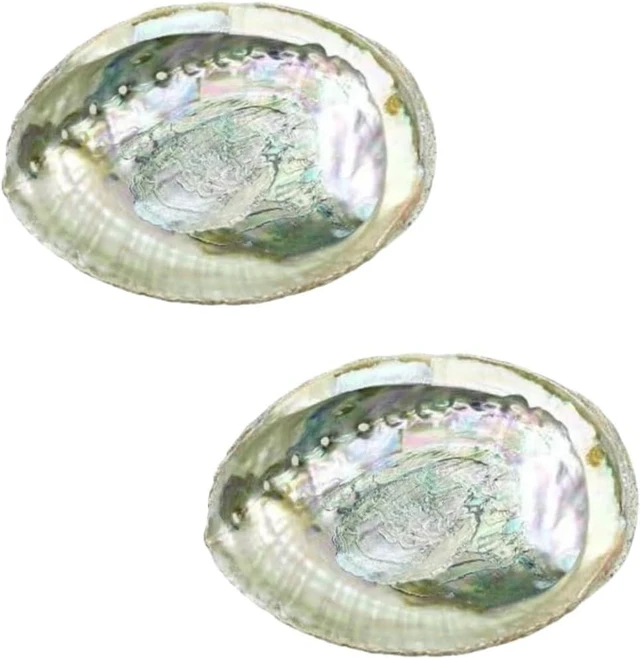 Main image of 2 Pcs Large Abalone Shell Bowl 4-4.5 Inch Colorful Natural Smudge Bowl for Sage Burning and Incense Sea Shell Smudging Bowl for Decor and Display, Incense Holders