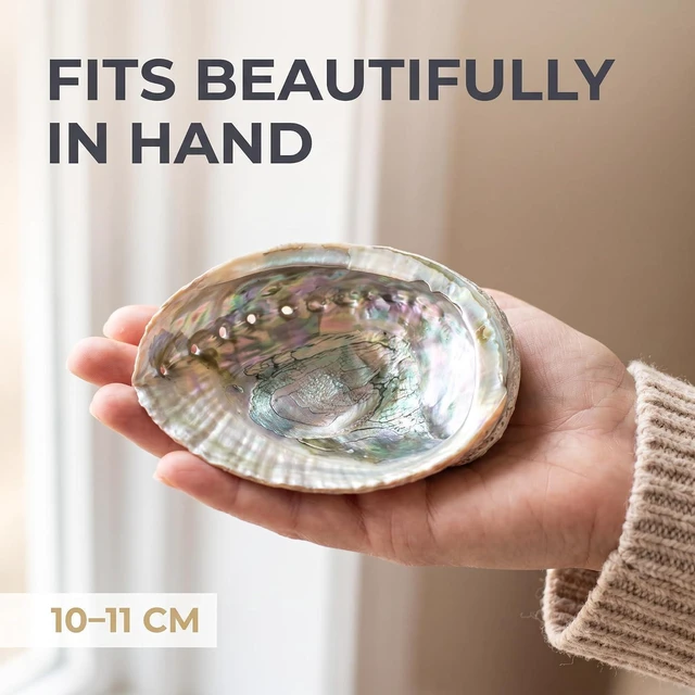 Alt view image 6 of 7 - 2 Pcs Large Abalone Shell Bowl 4-4.5 Inch Colorful Natural Smudge Bowl for Sage Burning and Incense Sea Shell Smudging Bowl for Decor and Display, Incense Holders