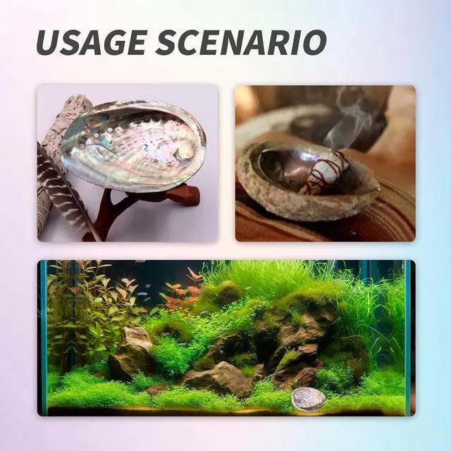 Alt view image 2 of 7 - BRBASAP Large Abalone Shell Bowl 4-4.5 Inch Natural Smudge Bowl for Sage Burning and Incense Sea Shell Smudging Bowl for Decor and Display