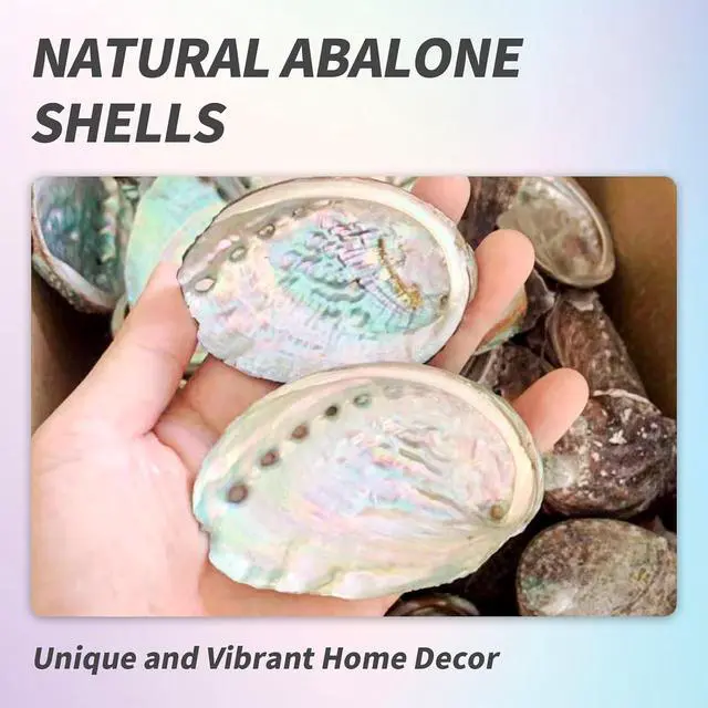 Alt view image 3 of 7 - BRBASAP Large Abalone Shell Bowl 4-4.5 Inch Natural Smudge Bowl for Sage Burning and Incense Sea Shell Smudging Bowl for Decor and Display