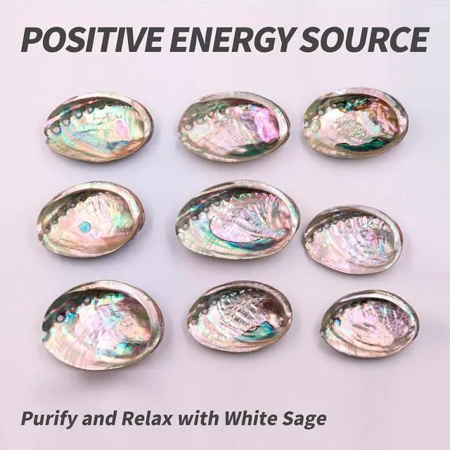 Alt view image 6 of 7 - BRBASAP Large Abalone Shell Bowl 4-4.5 Inch Natural Smudge Bowl for Sage Burning and Incense Sea Shell Smudging Bowl for Decor and Display